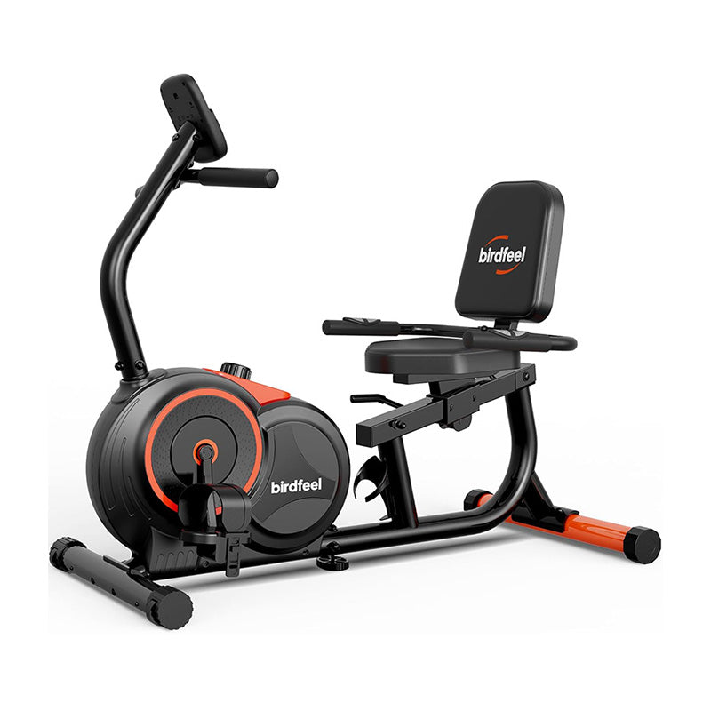 Pooboo Recumbent Exercise Bike for Home – POOBOO