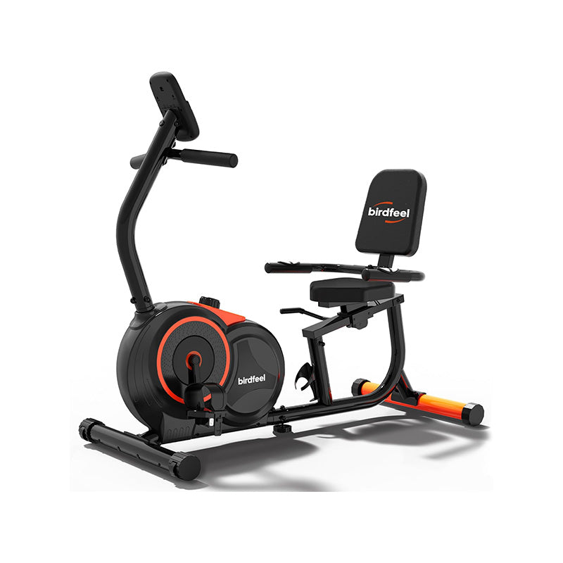 W259 Recumbent Exercise Bike for Home