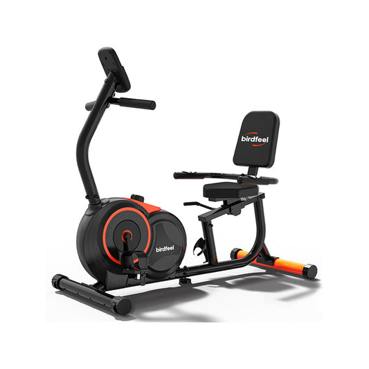 W259 Recumbent Exercise Bike for Home