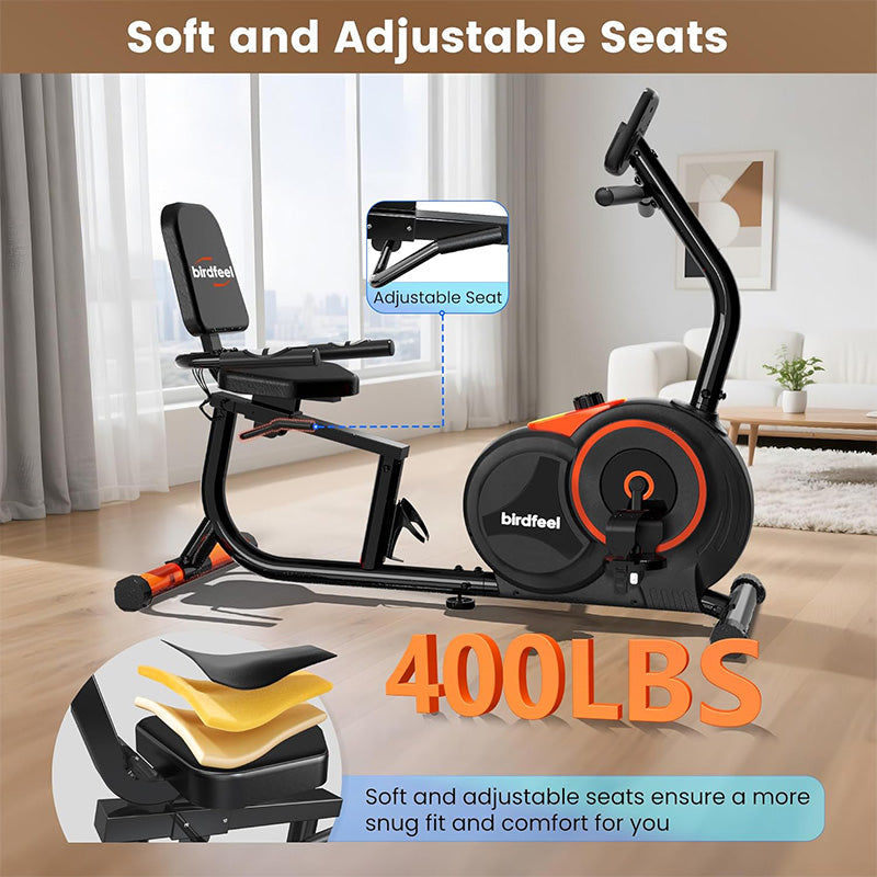 W259 Recumbent Exercise Bike for Home