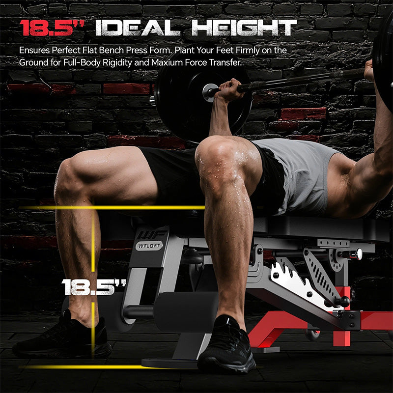 Y180 Weight Bench for Home Gym