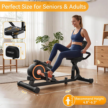 W356 Recumbent Bike with Magnetic Resistance