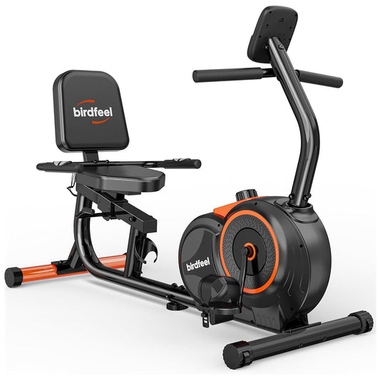 W259 Recumbent Exercise Bike for Home