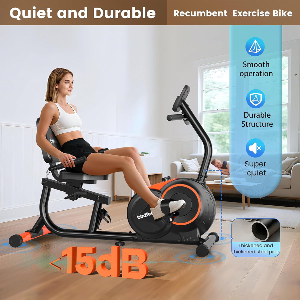 W259 Recumbent Exercise Bike for Home