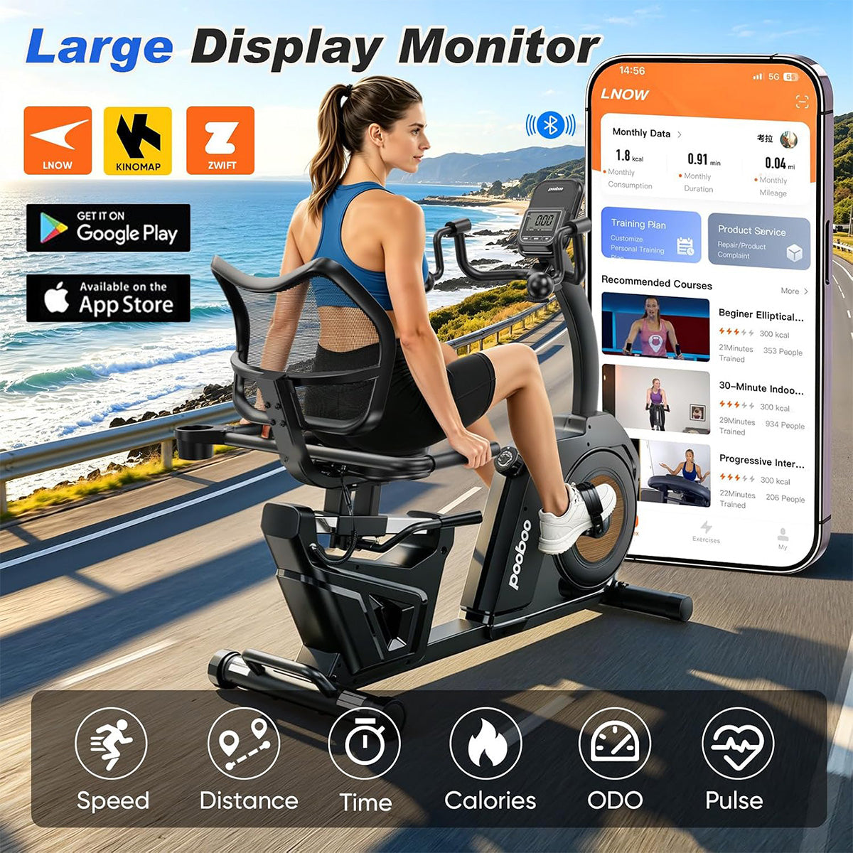 W216 Recumbent Exercise Bike