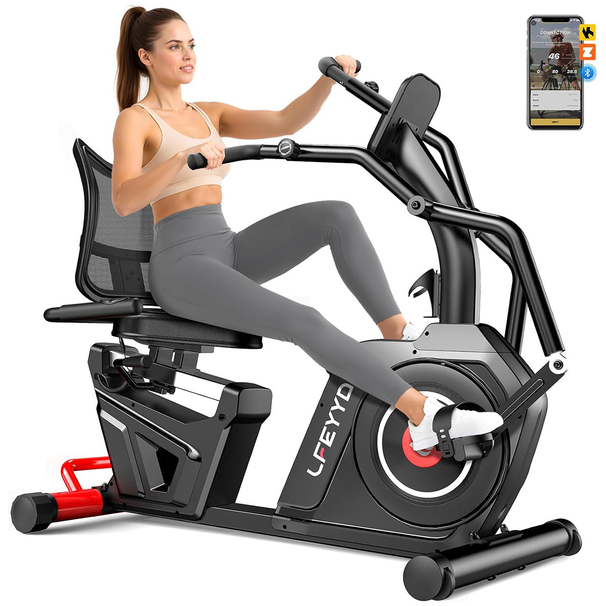 W215 Recumbent Bike with Arm Exerciser