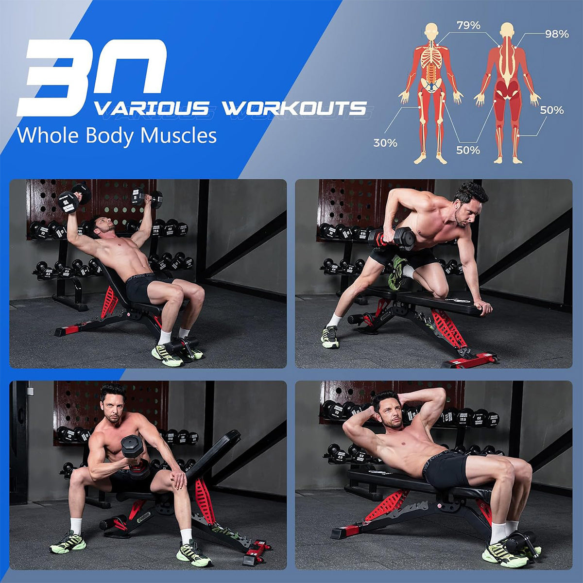 Y160 Adjustable Weight Bench