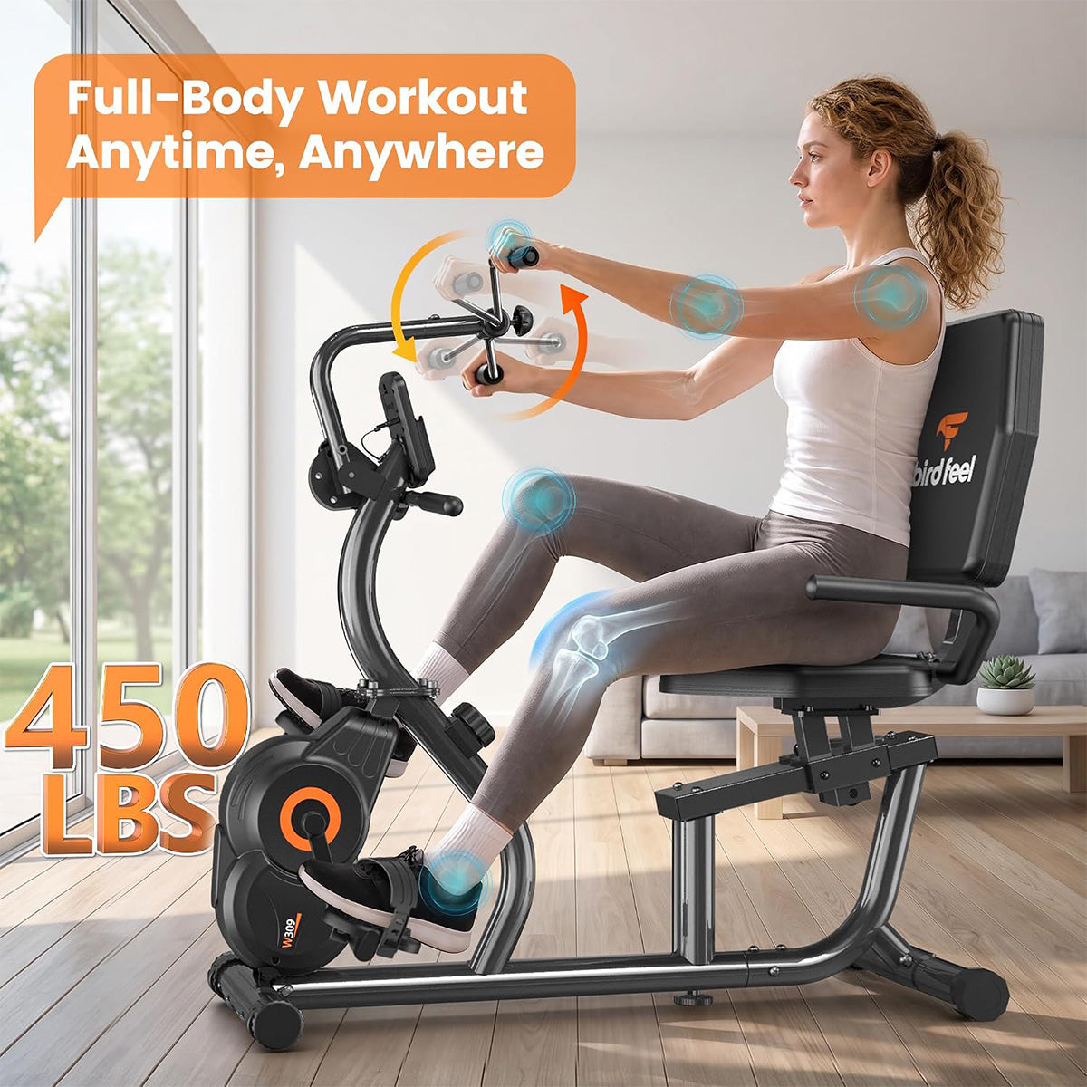 W309 Quiet Magnetic Recumbent Exercise Bike
