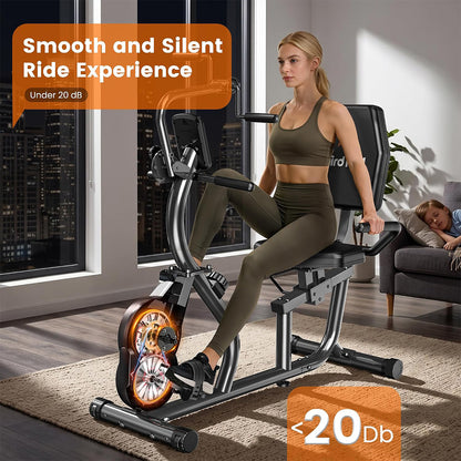 W309 Quiet Magnetic Recumbent Exercise Bike