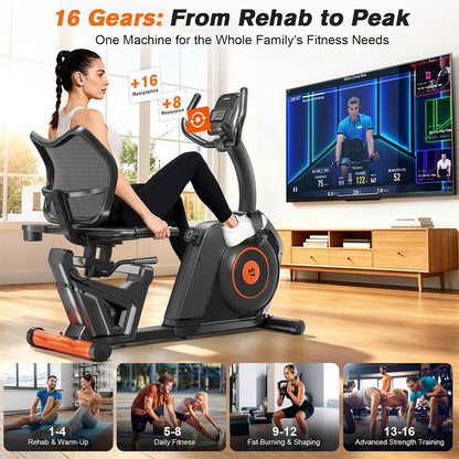 W226 Recumbent Stationary Bikes For Home