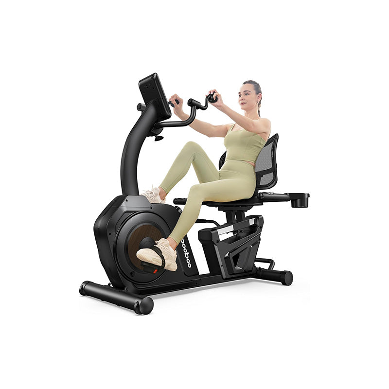 Recumbent Bike With Arm Exerciser