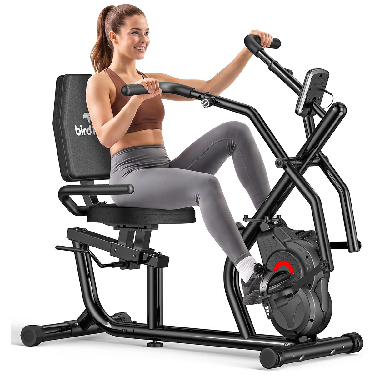W308 Recumbent Exercise Bike with Arm Exerciser