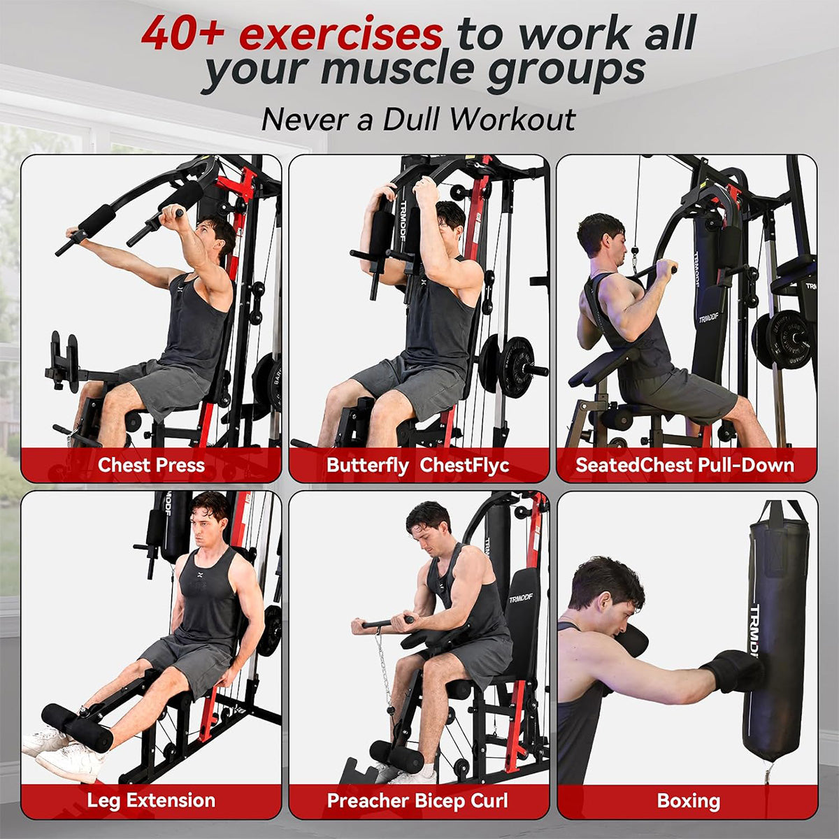 P310 HomeGym Equipment for Full Body Strength Training