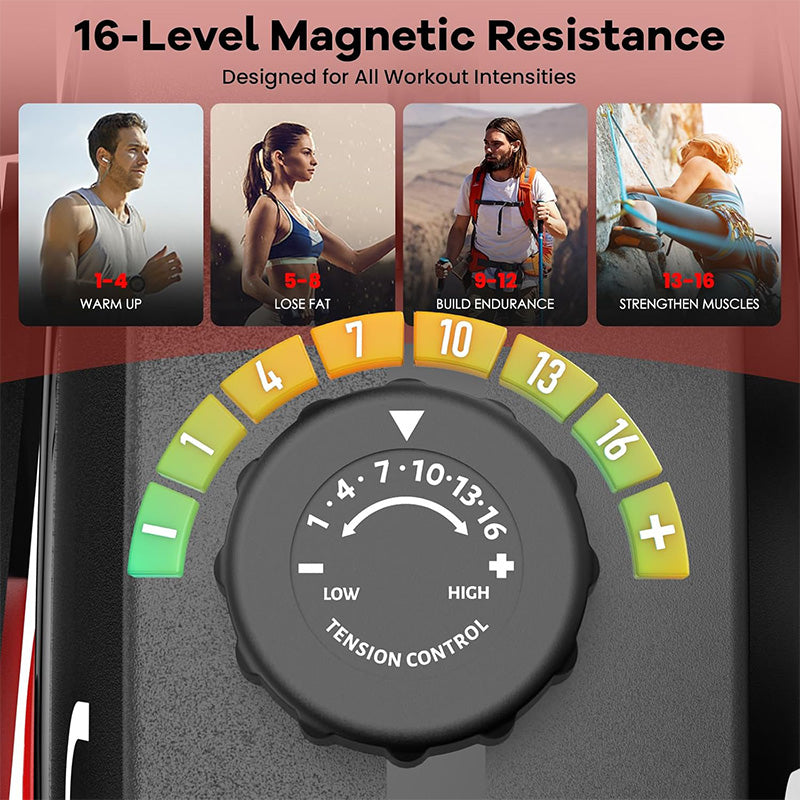 W215 Recumbent Bike with Arm Exerciser