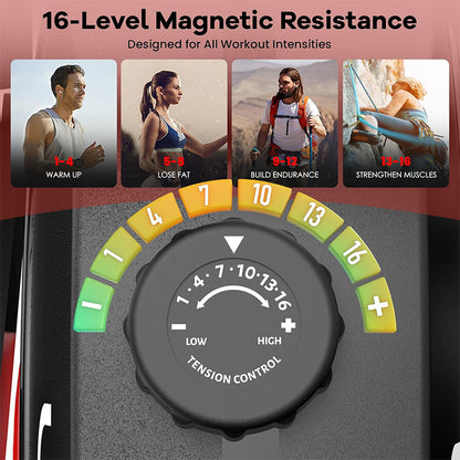 W215 Recumbent Bike with Arm Exerciser