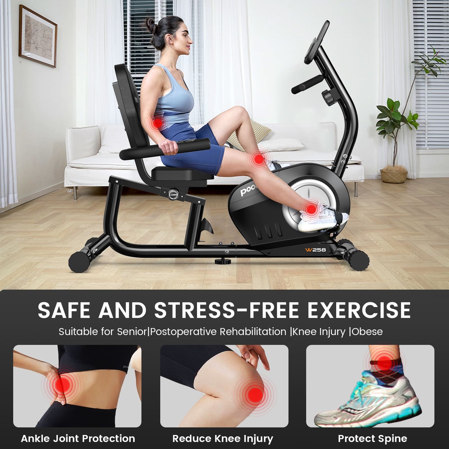 W258 Aerobic Exercise Bike