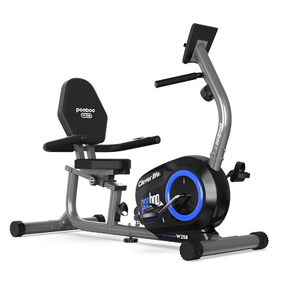 W258 Aerobic Exercise Bike