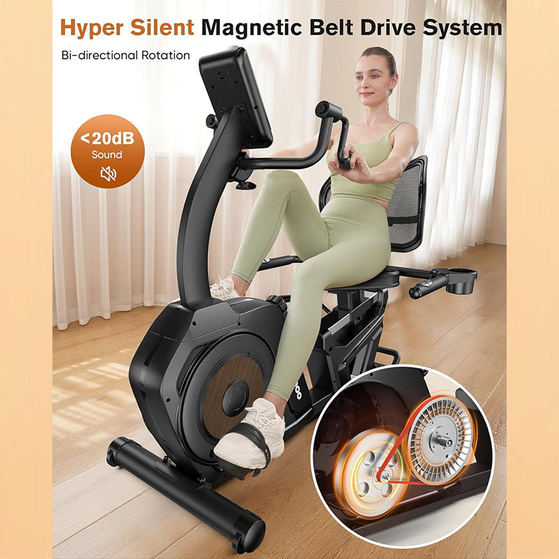 W216 Recumbent Exercise Bike