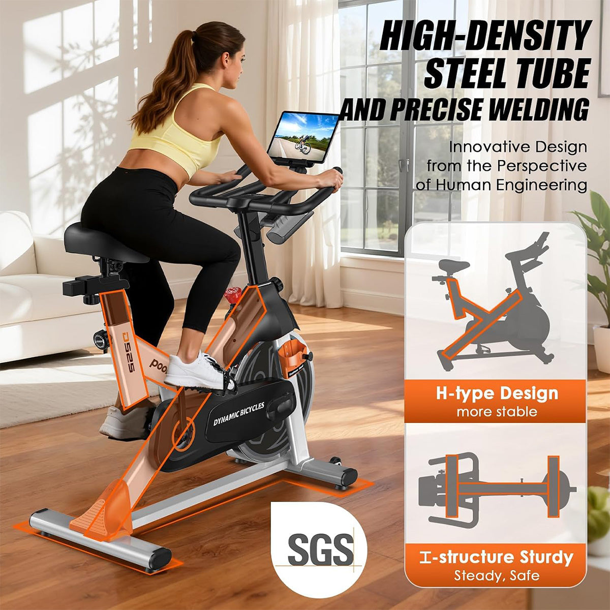 D525X Indoor Exercise Bike