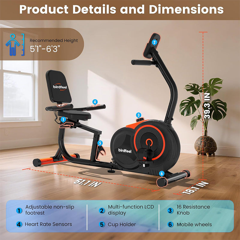 Pooboo Recumbent Exercise Bike for Home – POOBOO