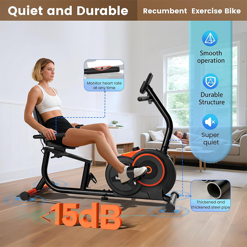 Pooboo Recumbent Exercise Bike for Home – POOBOO