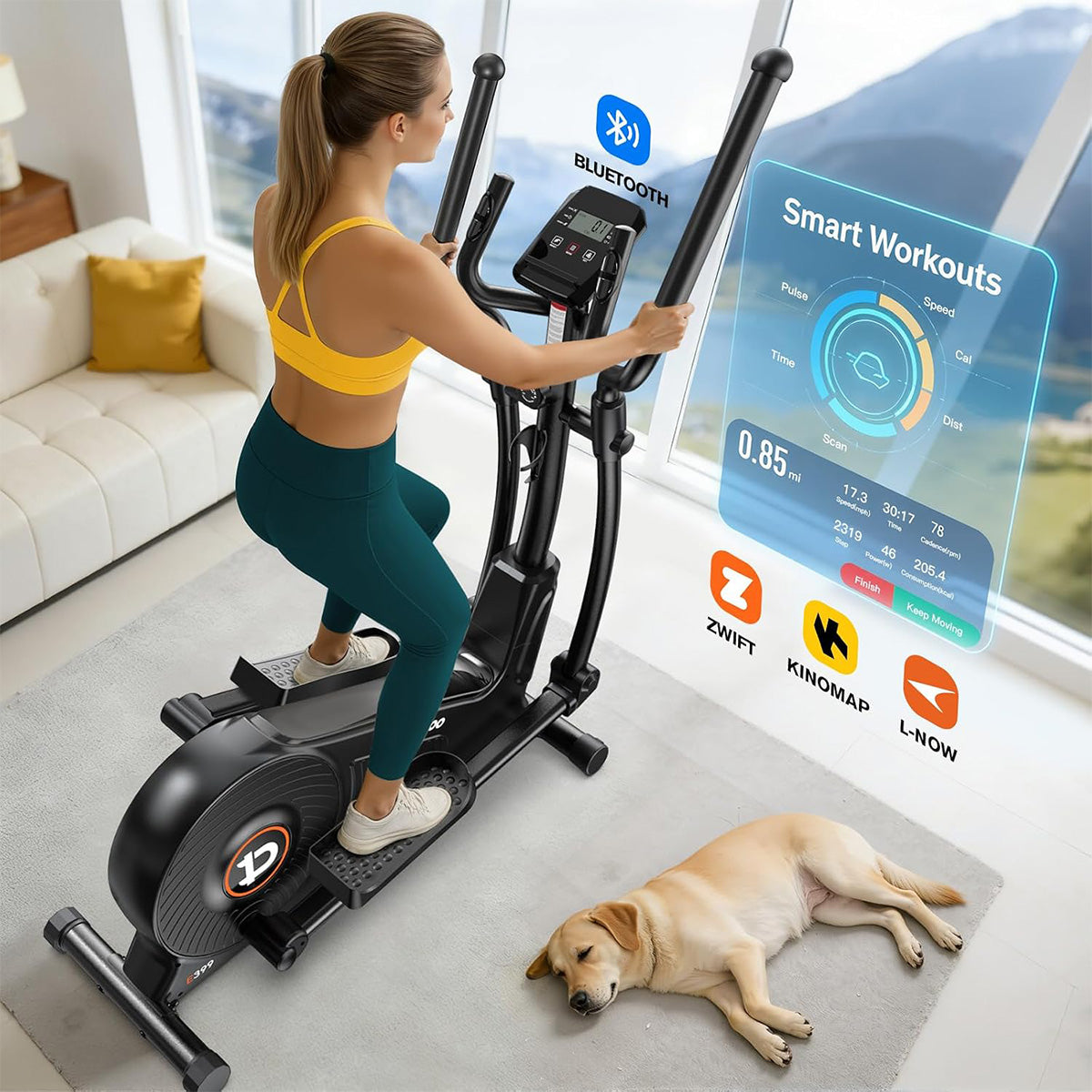 E399 Silent Elliptical machine-Black