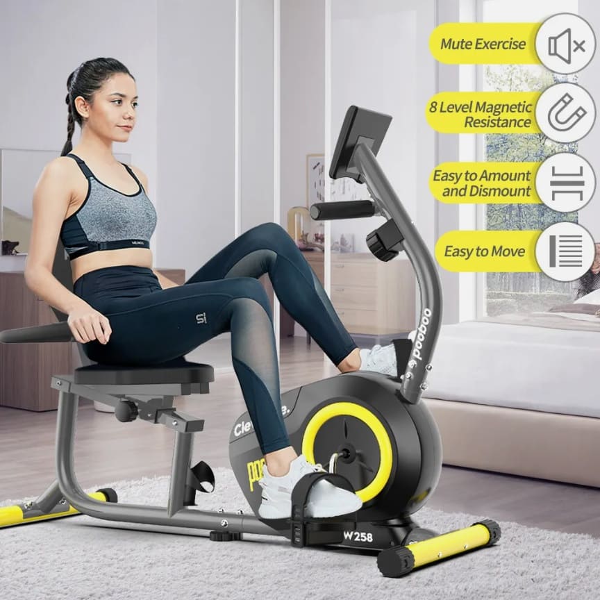 W258 Aerobic Exercise Bike