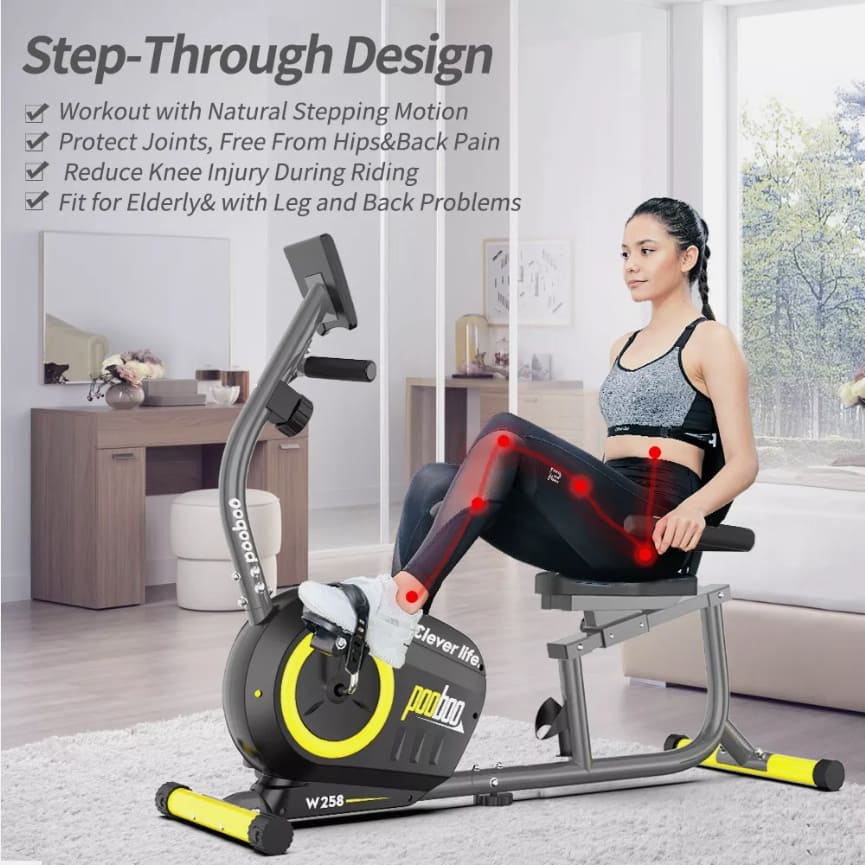 W258 Aerobic Exercise Bike