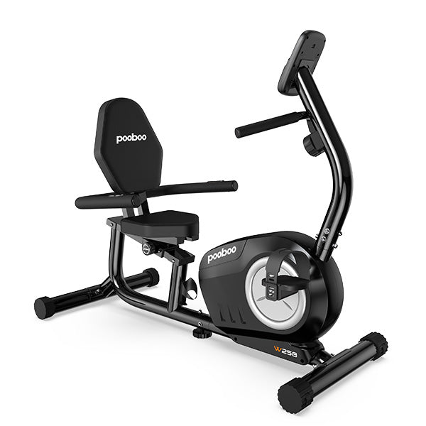 W258 Aerobic Exercise Bike